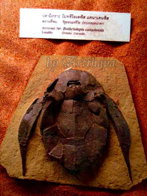 Museum30.JPG